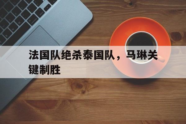 法国队绝杀泰国队,马琳关键制胜的简单介绍 法国队绝杀泰国队,马琳关键制胜的简单介绍